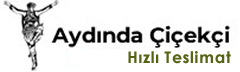 Aydın Çiçekçi