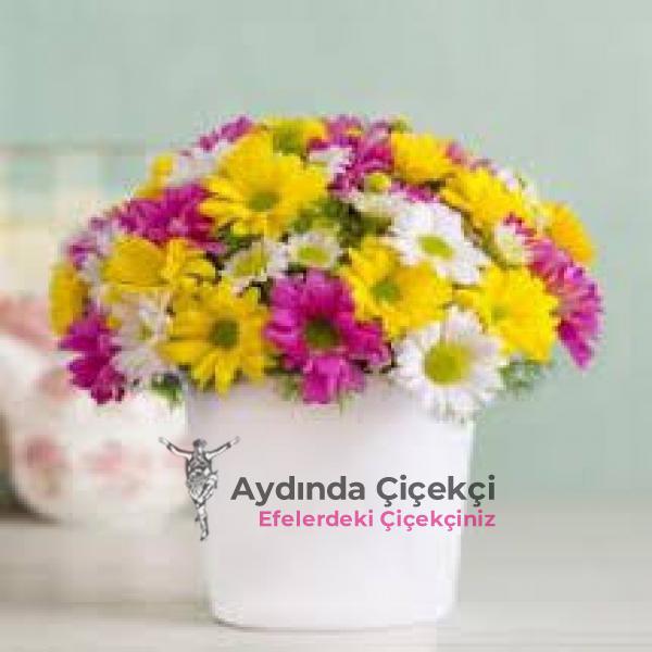  Aydın Çiçek SERAMiKTE TAZE KIR ÇİÇEKLERİ